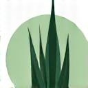 Stylized icon of an aloe vera leaf, representing soothing properties.